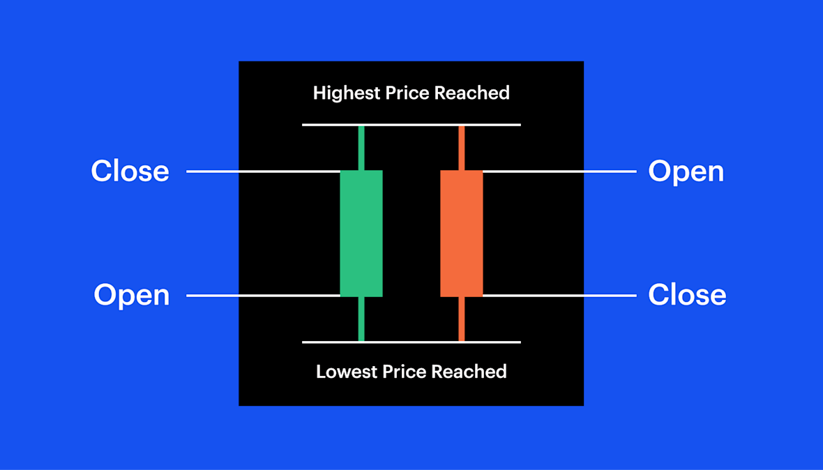 显示阴线和阳线以及开盘价和收盘价。
